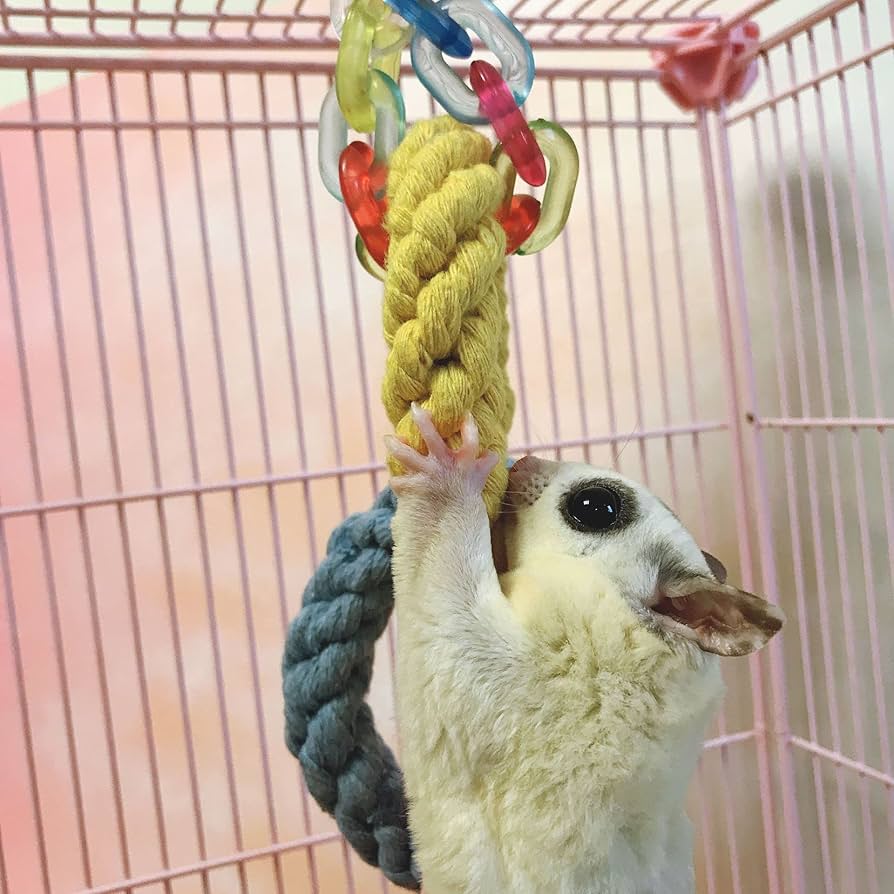 モモンガ　ゲージ　小動物　フクロウモモンガ Amazon | 88flix モモンガ おもちゃ 遊び場 ペット用品モモンガ